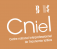 Cniel logo 2